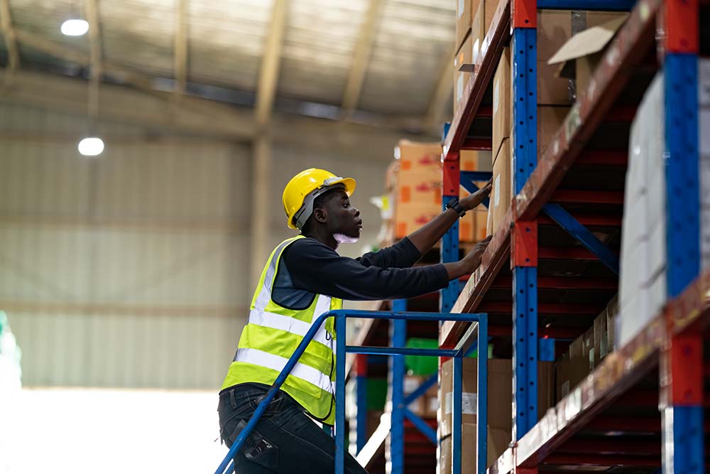 warehouse-workers-checking-the-inventory-2023-11-27-05-01-23-utc